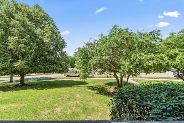 671 Hapsfield Ln Unit 105, Buffalo Grove, IL 60089 - view of grassy yard
