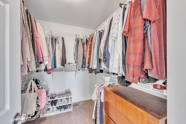 39371 Crofton Ln, Beach Park, IL 60083 - view of walk in closet