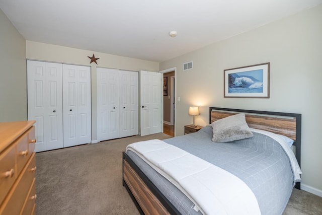 220 N Haddon Pl, Addison, IL 60101 - bedroom with two closets and carpet flooring