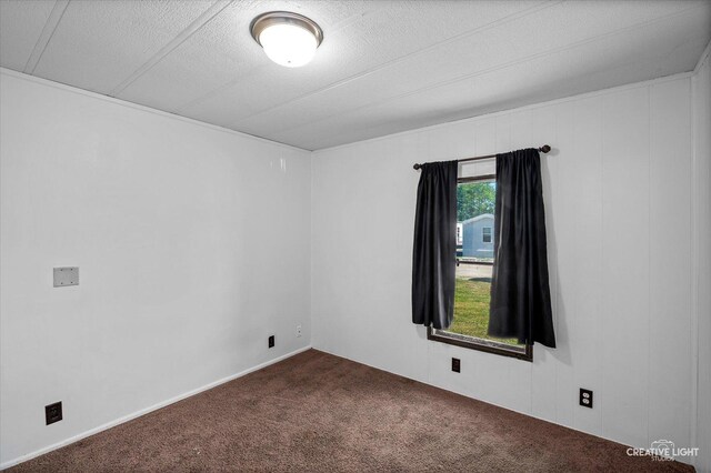 133 E Elm St, Braidwood, IL 60408 - photo 12