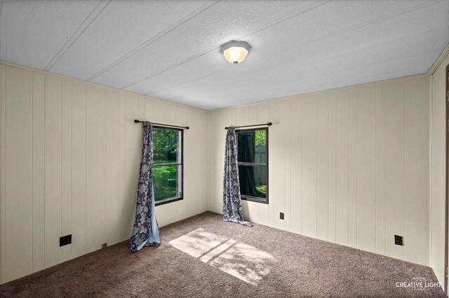 133 E Elm St, Braidwood, IL 60408 - photo 8