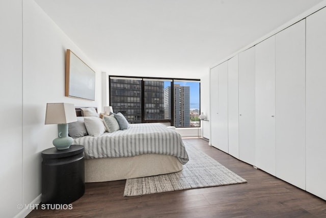 5445 N Sheridan Rd Unit 1515, Chicago, IL 60640 - bedroom featuring dark wood finished floors