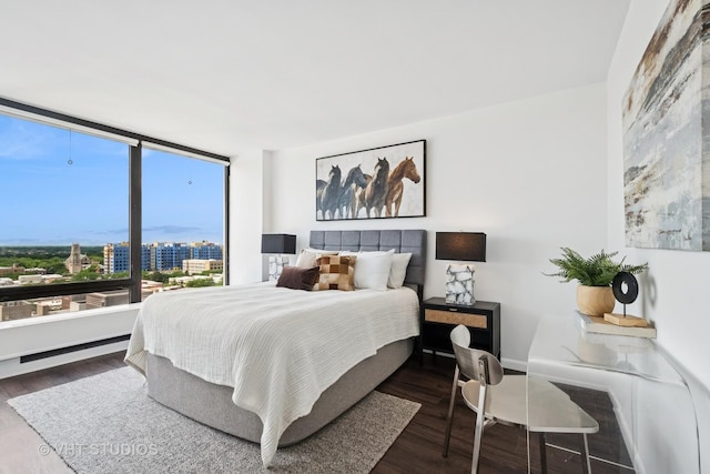5445 N Sheridan Rd Unit 1515, Chicago, IL 60640 - bedroom featuring wood finished floors and a city view