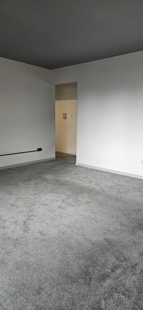 1541 Harlem Ave Unit 2S, Forest Park, IL 60130 - unfurnished room with baseboards and carpet floors