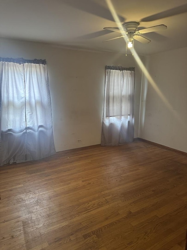 8208 S Sacramento Ave, Chicago, IL 60652 - photo 5