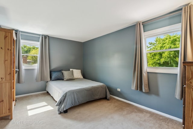 1700 Bolson Dr, Downers Grove, IL 60516 - bedroom with carpet and baseboards