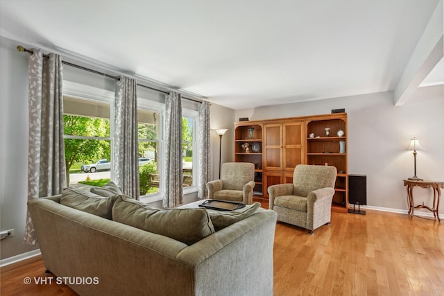 1700 Bolson Dr, Downers Grove, IL 60516 - living room with light wood-type flooring and baseboards