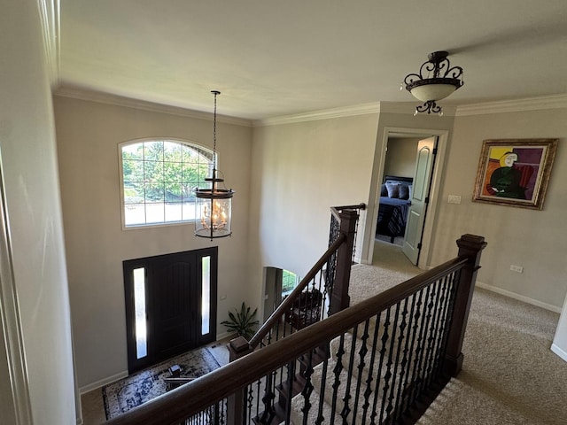 4213 Steam Mill Ct, Oswego, IL 60543 - entrance foyer featuring carpet, a chandelier, and crown molding