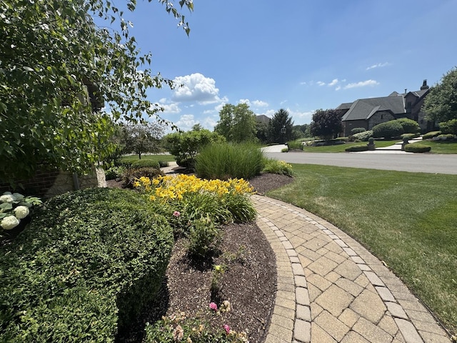 4213 Steam Mill Ct, Oswego, IL 60543 - view of green lawn