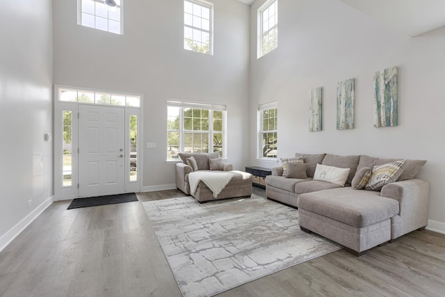 2751 Cedar Creek Cutoff Rd, Wauconda, IL 60084 - living area featuring a towering ceiling and wood finished floors