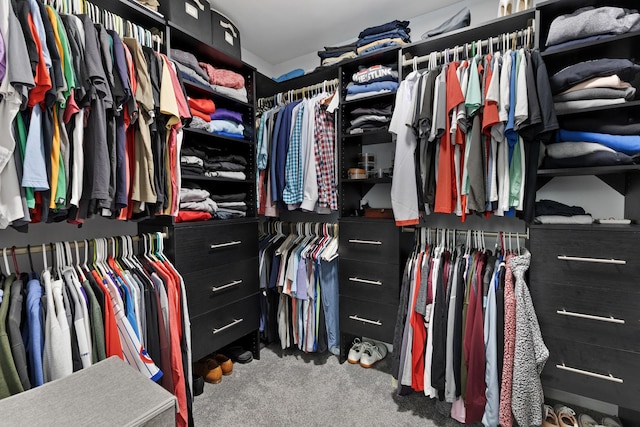 2751 Cedar Creek Cutoff Rd, Wauconda, IL 60084 - walk in closet featuring carpet flooring