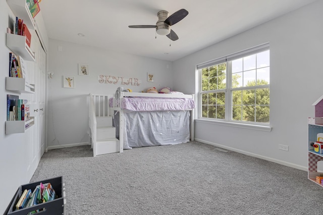 2751 Cedar Creek Cutoff Rd, Wauconda, IL 60084 - bedroom featuring carpet and a ceiling fan