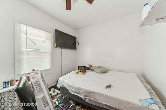 817 S Mcalister Ave, Waukegan, IL 60085 - photo 11