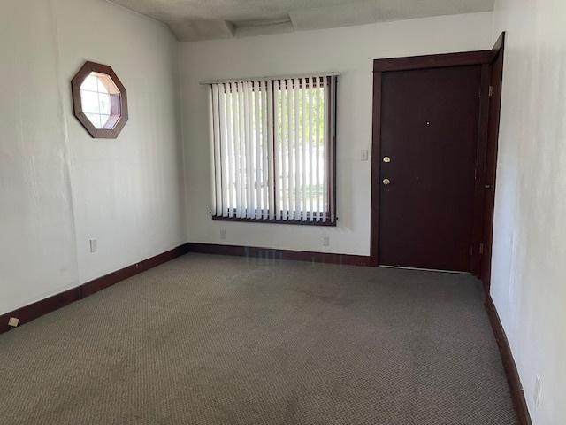 1322 N Prairie Ave, Joliet, IL 60435 - empty room with carpet floors and healthy amount of natural light