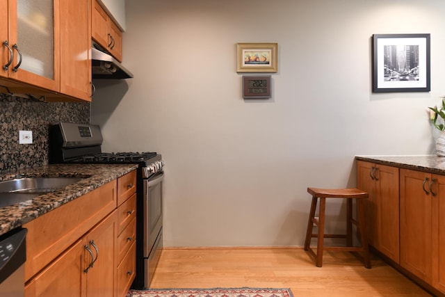 5400 Carriageway Dr Unit 315, Rolling Meadows, IL 60008 - kitchen featuring stainless steel appliances, under cabinet range hood, light wood-style flooring, brown cabinets, and tasteful backsplash