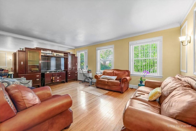 6121 N Hoyne Ave Unit 1S, Chicago, IL 60659 - living room with light wood finished floors, plenty of natural light, and crown molding