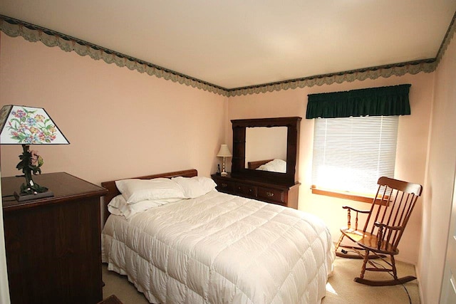 102 Villa Rd, Streamwood, IL 60107 - photo 11