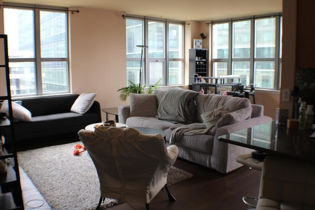 125 S Jefferson St Unit 1207, Chicago, IL 60661 - living room featuring wood finished floors