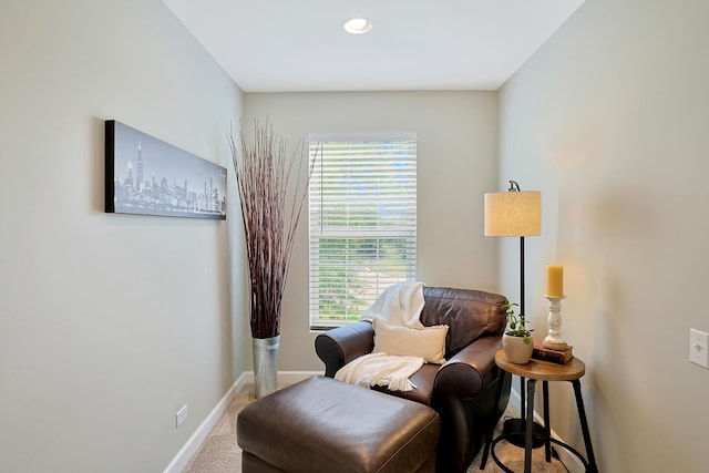 3 Camberwell Ct, Algonquin, IL 60102 - photo 26