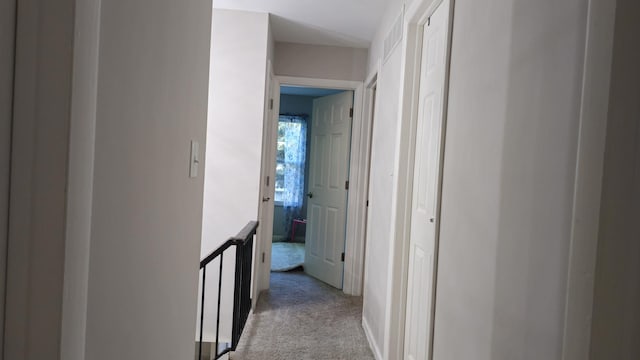 16 Forest Ln, Cary, IL 60013 - photo 42