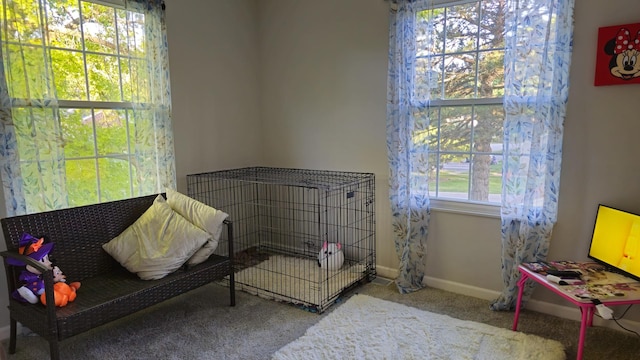 16 Forest Ln, Cary, IL 60013 - bedroom featuring carpet and baseboards