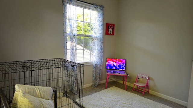 16 Forest Ln, Cary, IL 60013 - rec room featuring carpet floors and plenty of natural light