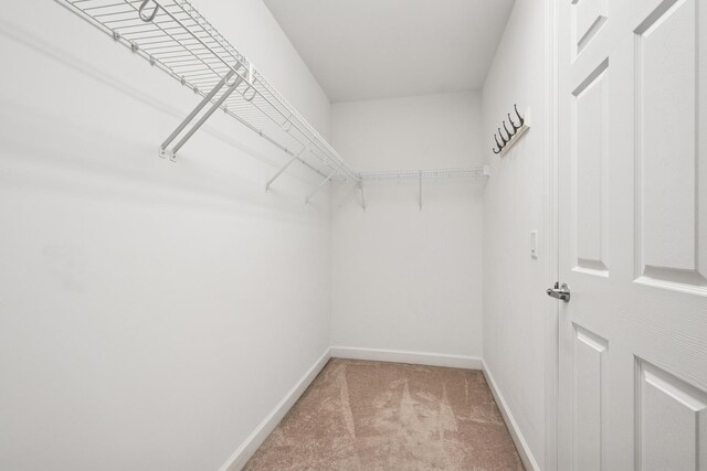 8471 Callie Ave, Morton Grove, IL 60053 - spacious closet featuring light carpet