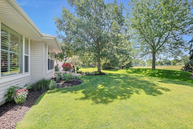13159 Shirley Ln, Huntley, IL 60142 - view of grassy yard
