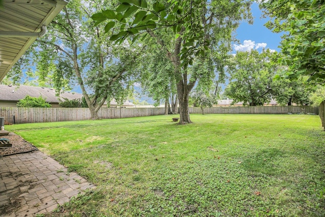 2303 Roland Dr, Champaign, IL 61821 - photo 35
