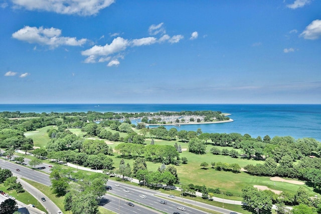 3950 N Lake Shore Dr Unit 810B, Chicago, IL 60613 - aerial view of a nearby body of water and a tree filled landscape