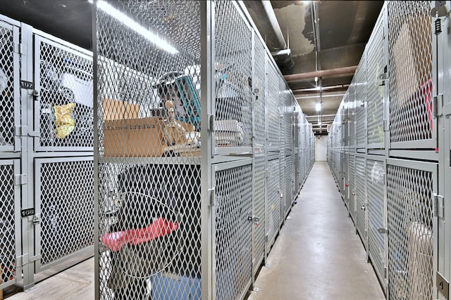 3950 N Lake Shore Dr Unit 810B, Chicago, IL 60613 - view of storage room