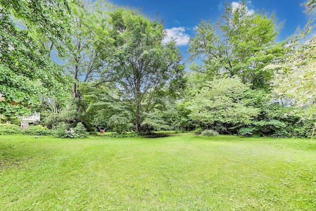 30975 N Blackhawk Trl, Grayslake, IL 60030 - photo 33