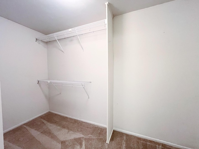 720 Saint Andrews Ln Unit 16, Crystal Lake, IL 60014 - photo 19