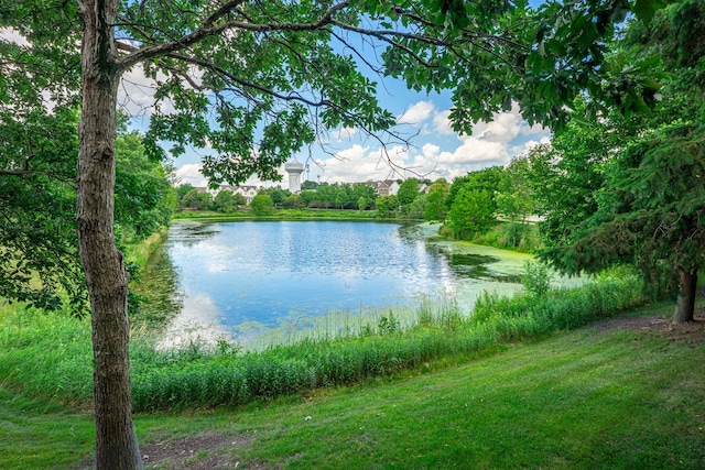 309 Monarch Dr Unit 26S, Streamwood, IL 60107 - photo 41