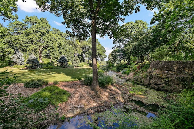 1444 Guildford Dr, Bourbonnais, IL 60914 - view of green lawn