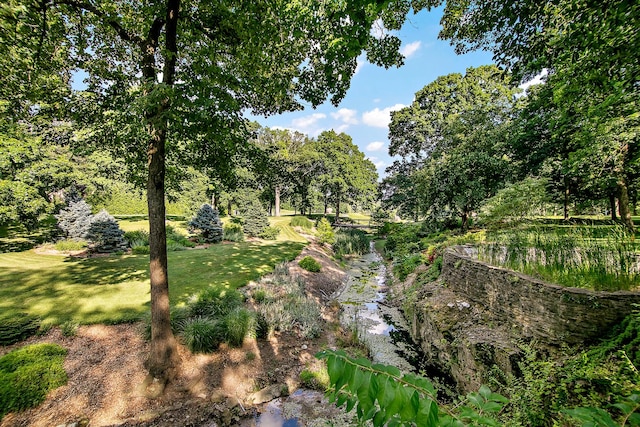 1444 Guildford Dr, Bourbonnais, IL 60914 - view of tree filled area