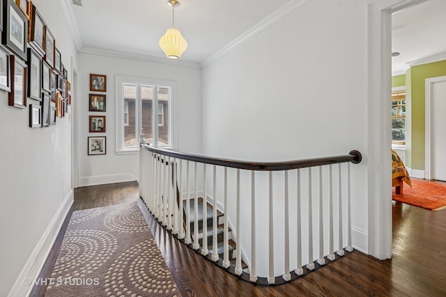 630 Michigan Ave, Evanston, IL 60202 - photo 29