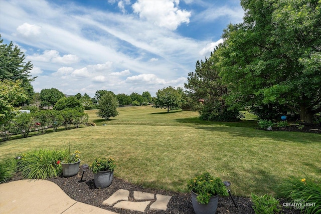 1918 Congrove Dr, Aurora, IL 60504 - view of grassy yard with view of scattered trees