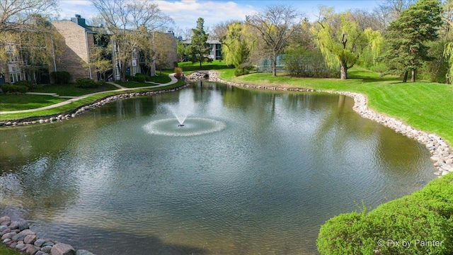 2109 Ammer Ridge Ct Unit 201, Glenview, IL 60025 - water view