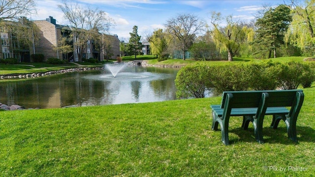 2109 Ammer Ridge Ct Unit 201, Glenview, IL 60025 - water view