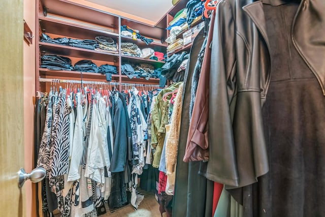 6500 Pasture Side Trl, Matteson, IL 60443 - view of spacious closet