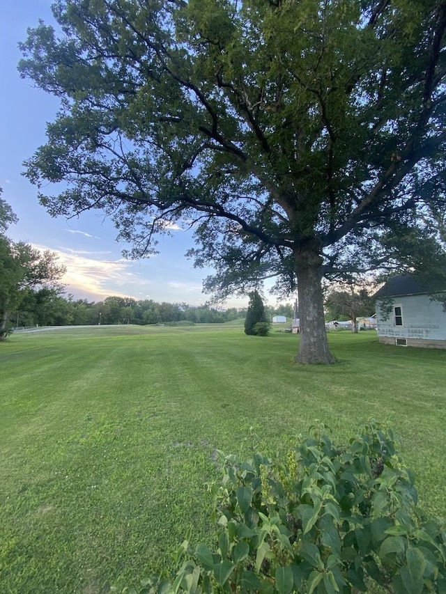 106 W Sheridan St, Watseka, IL 60970 - view of green lawn