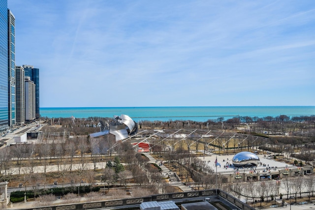 130 N Garland Ct Unit 1411, Chicago, IL 60602 - photo 31