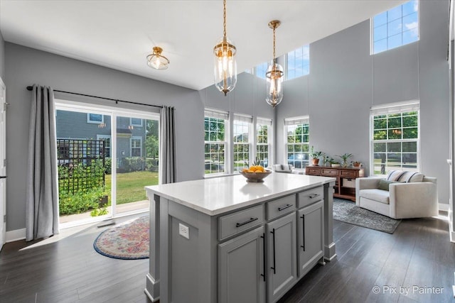 561 S Jade Ln Unit 1106, Round Lake, IL 60073 - kitchen featuring dark wood-style flooring, light countertops, plenty of natural light, and a high ceiling