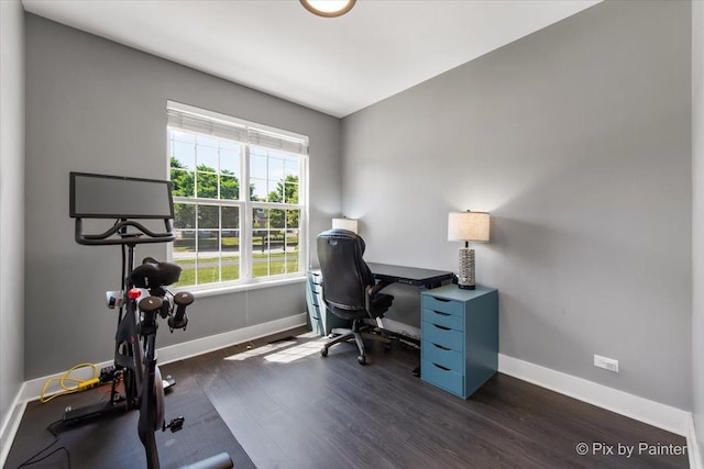 561 S Jade Ln Unit 1106, Round Lake, IL 60073 - office with baseboards and dark wood finished floors