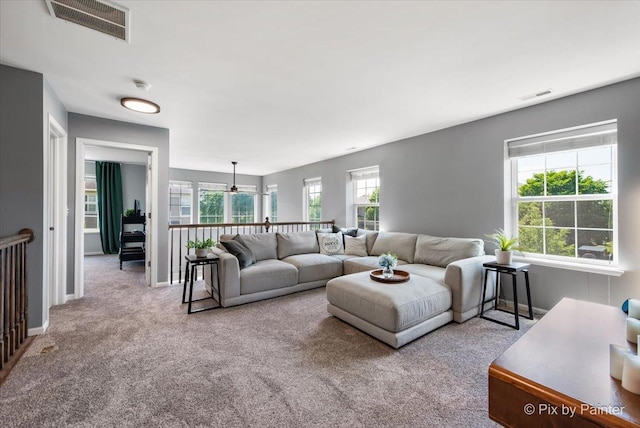 561 S Jade Ln Unit 1106, Round Lake, IL 60073 - living room with carpet flooring and baseboards