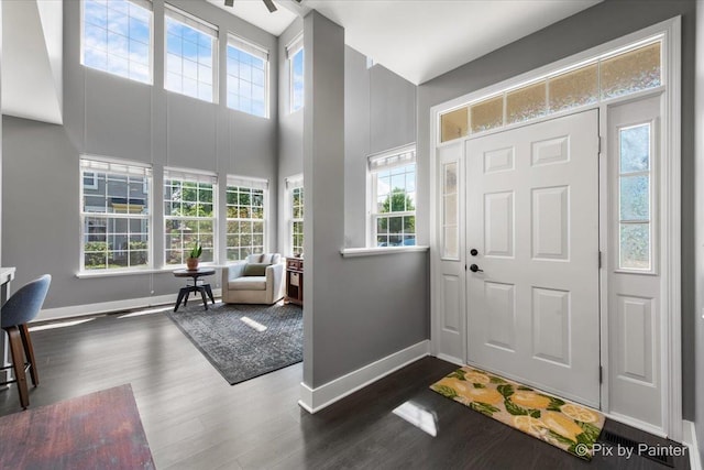 561 S Jade Ln Unit 1106, Round Lake, IL 60073 - entrance foyer with dark wood finished floors and a towering ceiling