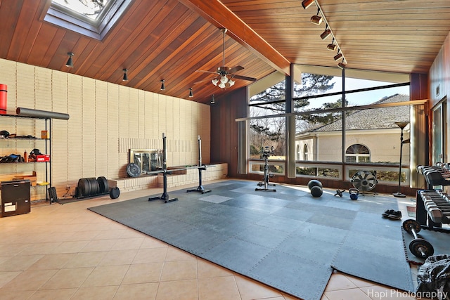 74 Dundee Ln, Barrington Hills, IL 60010 - workout room with rail lighting, ceiling fan, wooden ceiling, tile patterned floors, and wood walls