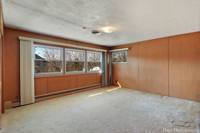74 Dundee Ln, Barrington Hills, IL 60010 - carpeted empty room with a baseboard heating unit, plenty of natural light, and a textured ceiling