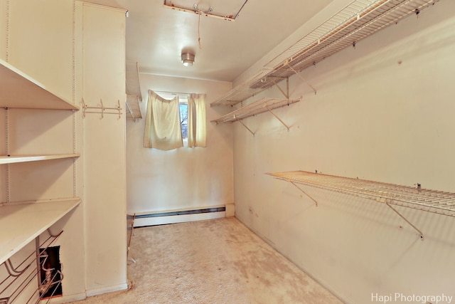 74 Dundee Ln, Barrington Hills, IL 60010 - walk in closet featuring a baseboard radiator and light colored carpet